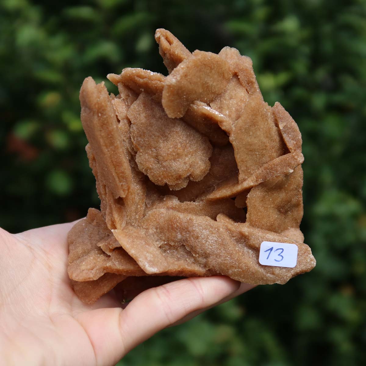 Wunderschöne Sandrose / Wüstenrose -10x9x4cm – Exklusive Stücke für Sammler und Liebhaber Unikat Nr.13