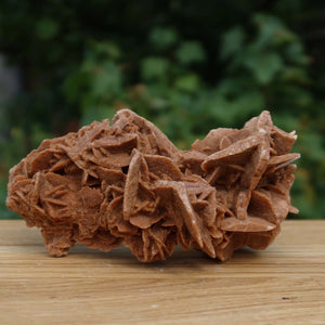 Wunderschöne Sandrose / Wüstenrose -14x8x6 cm – Exklusive Stücke für Sammler und Liebhaber Unikat Nr.14