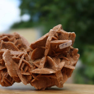 Wunderschöne Sandrose / Wüstenrose -14x8x6 cm – Exklusive Stücke für Sammler und Liebhaber Unikat Nr.14