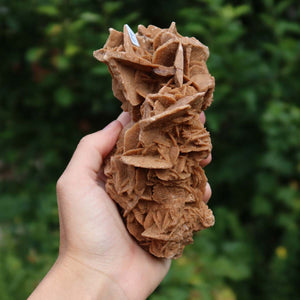 Wunderschöne Sandrose / Wüstenrose -14x8x6 cm – Exklusive Stücke für Sammler und Liebhaber Unikat Nr.14