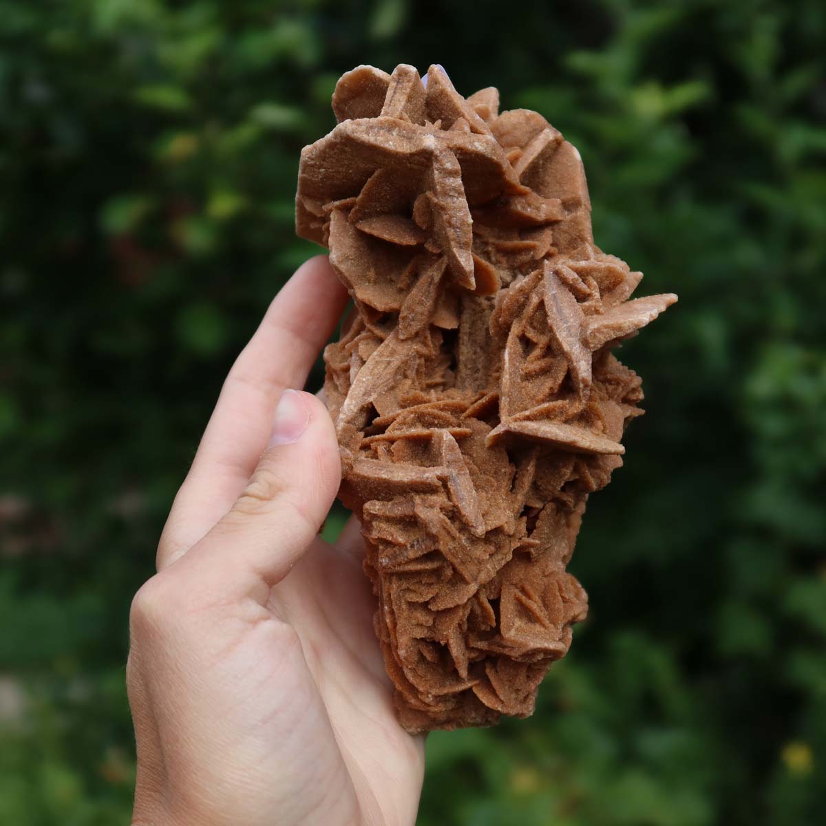 Wunderschöne Sandrose / Wüstenrose -14x8x6 cm – Exklusive Stücke für Sammler und Liebhaber Unikat Nr.14