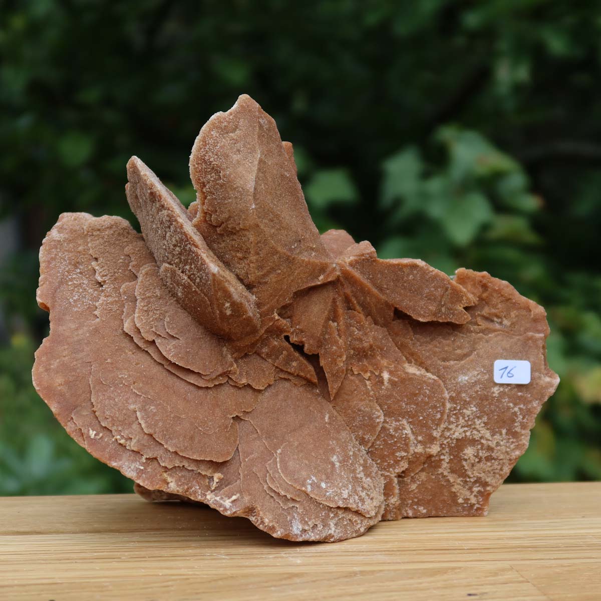 Wunderschöne Sandrose / Wüstenrose - 19x9x15 cm – Exklusive Stücke für Sammler und Liebhaber Unikat Nr.16