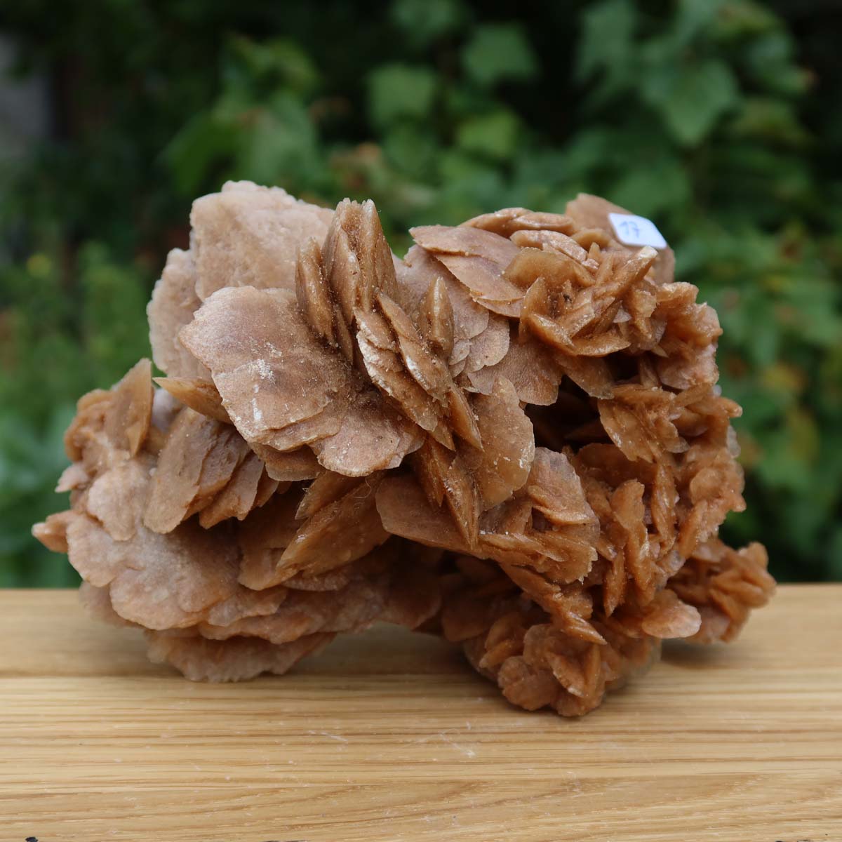 Wunderschöne Sandrose / Wüstenrose - 15x10x10 cm – Exklusive Stücke für Sammler und Liebhaber Unikat Nr.17