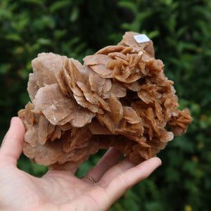 Wunderschöne Sandrose / Wüstenrose - 15x10x10 cm – Exklusive Stücke für Sammler und Liebhaber Unikat Nr.17