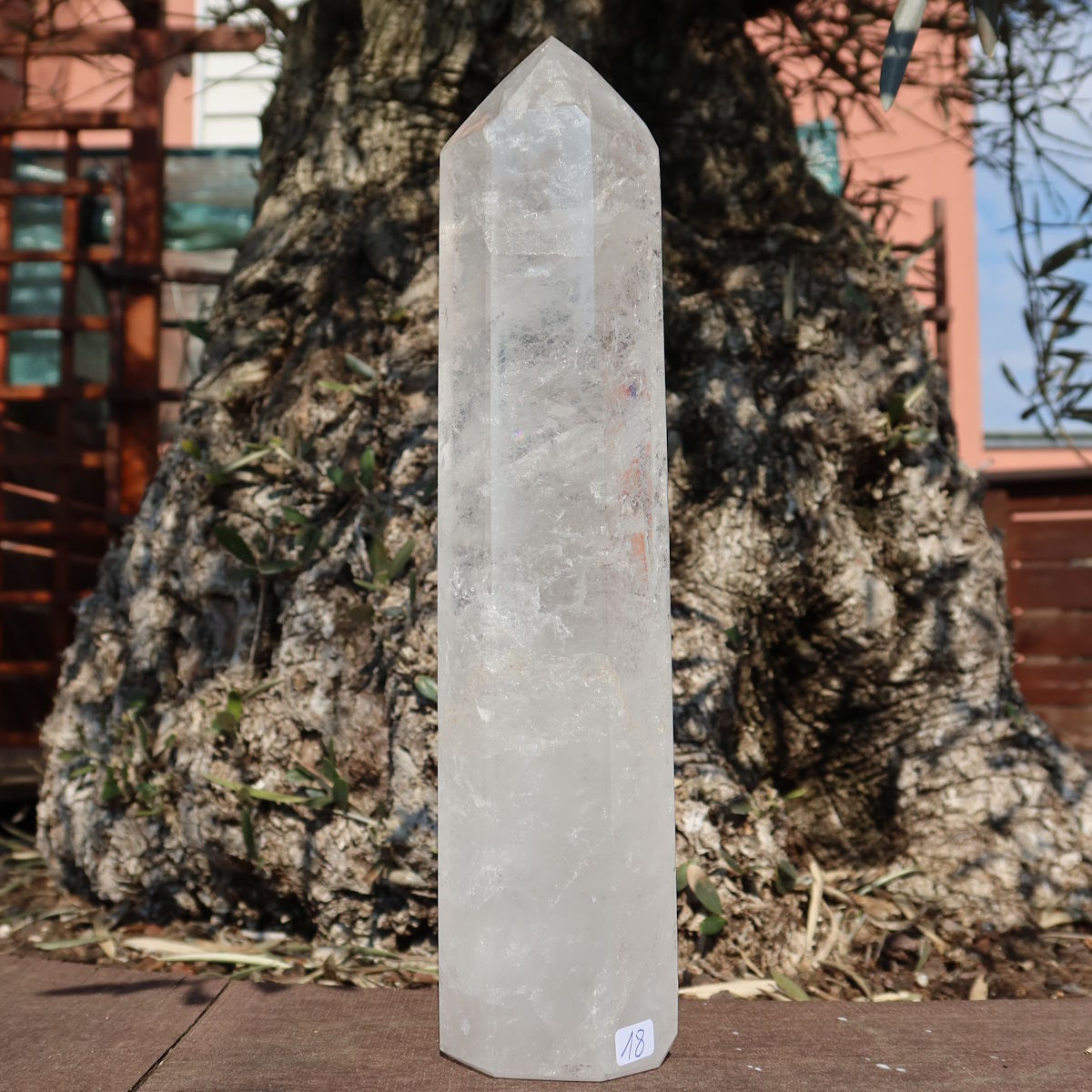 Bergkristall, Quarz, Obelisk geschliffen UNIKAT Nr. 18 vor Olivenbaum im Freien, edles Naturprodukt.