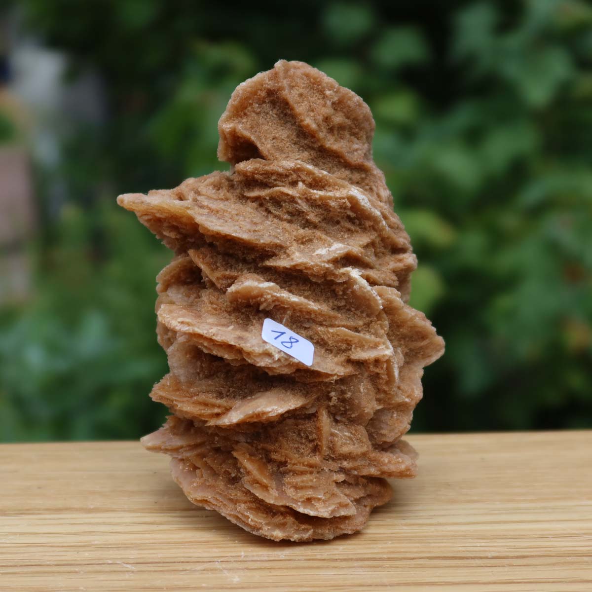 Wunderschöne Sandrose / Wüstenrose - 11x7x2 cm – Exklusive Stücke für Sammler und Liebhaber Unikat Nr.18