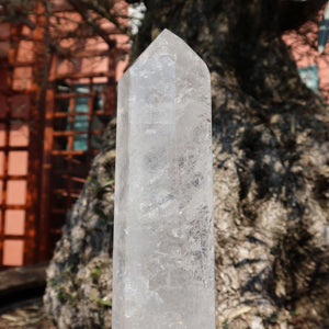 Bergkristall, Quarz, Obelisk geschliffen UNIKAT Nr. 18 vor einem Baum, polierter Kristall mit klarer Struktur.