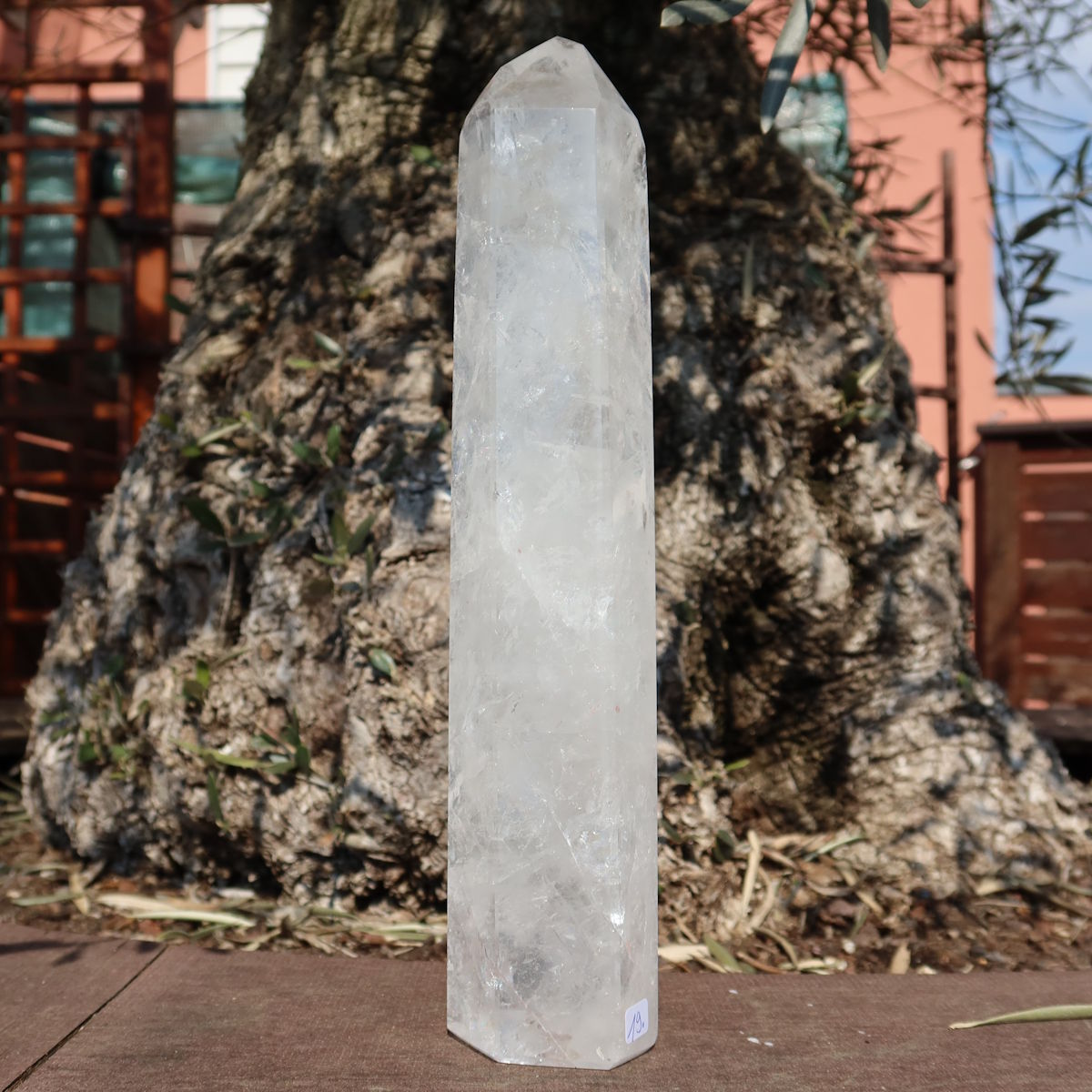 Bergkristall, Quarz, Obelisk geschliffen UNIKAT Nr. 19 vor Baum, hochwertiges Unikat, bringt Klarheit und Stabilität.