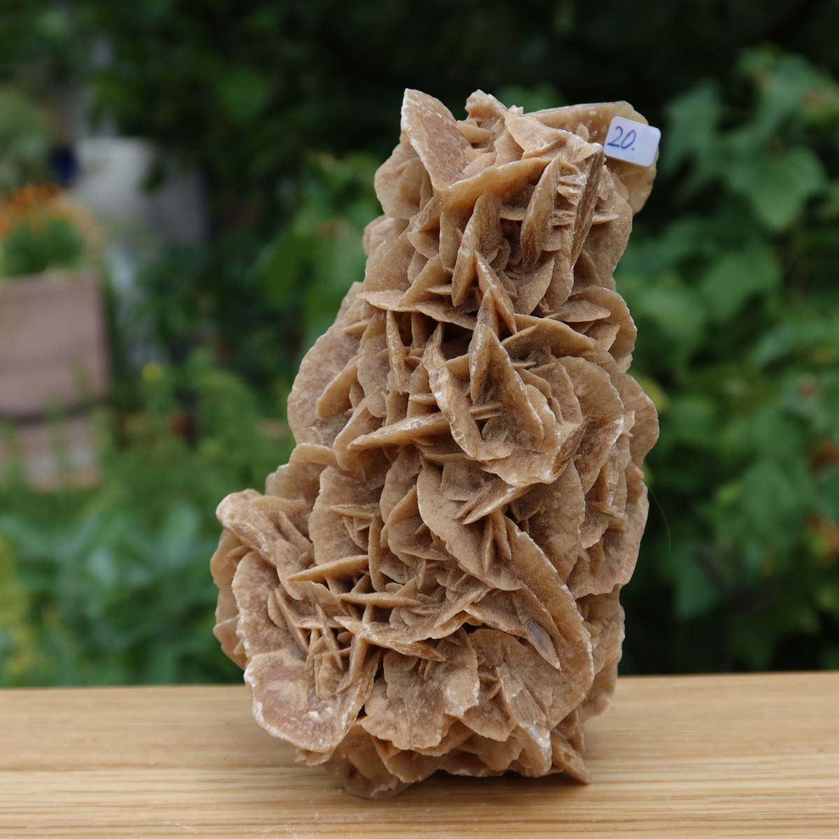 Wunderschöne Sandrose / Wüstenrose - 14x8x9 cm – Exklusive Stücke für Sammler und Liebhaber Unikat Nr.20