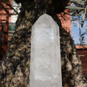 Bergkristall, Quarz, Obelisk geschliffen UNIKAT Nr. 20 vor einem alten Olivenbaum.
