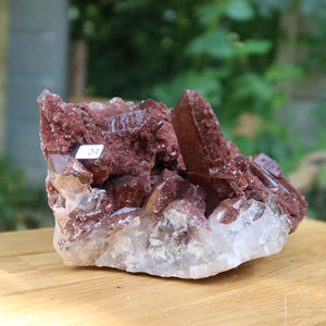Seltene Hämatit Quarz Bergkristall Stufe (Eisenquarz) 19x12x10cm Marokko Nr. 24