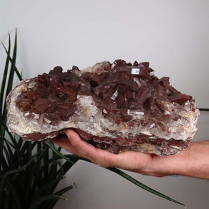 Seltene Hämatit Quarz Bergkristall Stufe (Eisenquarz) 30x15x13cm Marokko Nr. 34