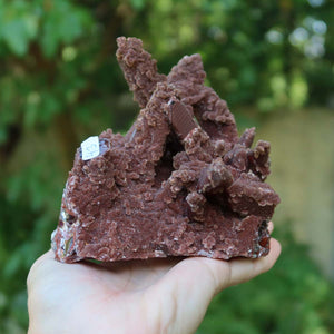 Seltene Hämatit Quarz Bergkristall Stufe (Eisenquarz) 11x11x11cm Marokko Nr. 43