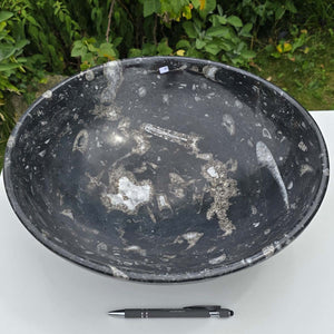 Orthoceras Fossilschale XL aus Marokko – 39x12 cm und 7 kg - Nr. 45