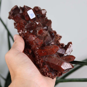 Seltene Hämatit Quarz Bergkristall Stufe (Eisenquarz) 14x7x6cm Marokko Nr. 48