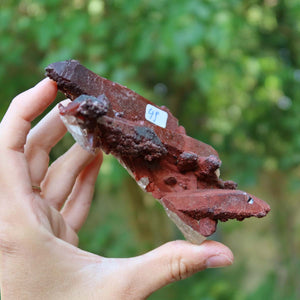 Seltene Hämatit Quarz Bergkristall Stufe (Eisenquarz) 11x7x5cm Marokko Nr. 49