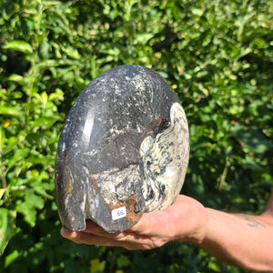 Ammonit - Echtes versteinertes Fossil - 100 Millionen Jahre alt - 20x15 cm - NR. 94