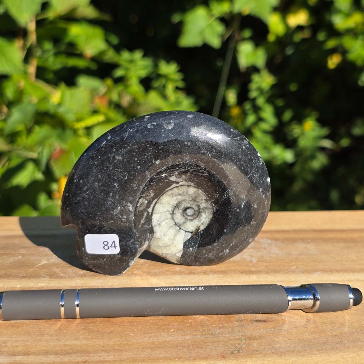 Ammonit - Echtes versteinertes Fossil - 100 Millionen Jahre alt - 9x7 cm - NR. 112