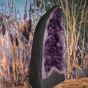 Amethystdruse, Amethyst Geode – Frieden und Harmonie, UNIKAT Nr. 355 in natural setting