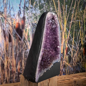 Druse aus Amethyst
