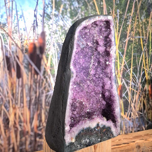 Mineralien Fachgeschäft Steinwelten 