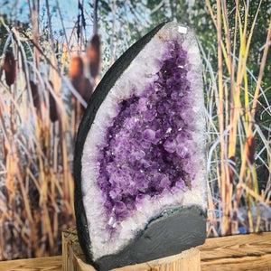 Amethyst Druse mit großen Kristallen