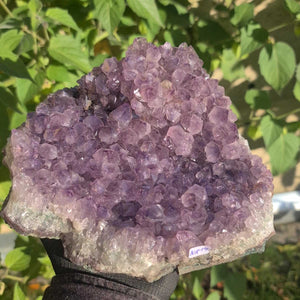 Amethyst Brasilien 