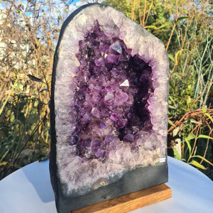 Amethyst Mineralien Fachgeschäft