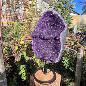 Rohe Amethyst Geode von Steinwelten 