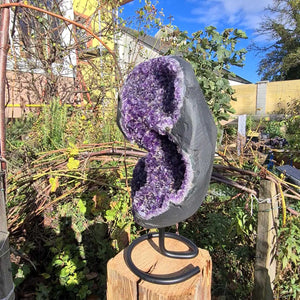 Dunkle Amethystgeode