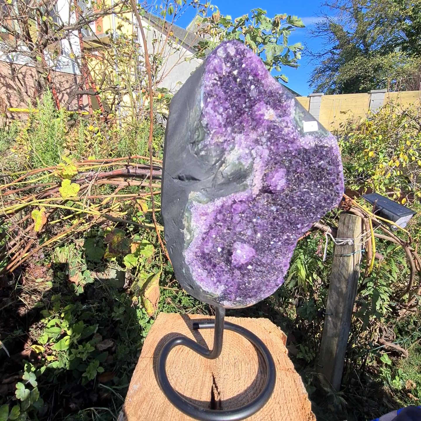 Amethyst Rohstück von Steinwelten 