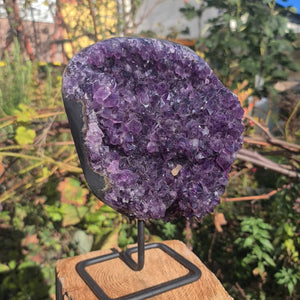 Dunkle Amethystdruse kaufen bei Steinwelten