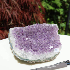 High-quality Uruguayan amethyst druse showcasing natural beauty and energy, measuring 18x10cm, unique piece number 10.