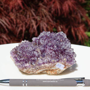 Amethyst Drusen 1A Qualität Einzelstück, 11x8cm, spirituell reinigend, Onlin Shop kaufen