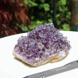 Amethyst Drusen aus Uruguay, 1A Qualität, 11x8cm, spirituell und transformierend; Unikat Nr. 33, online kaufen im Onlineshop.