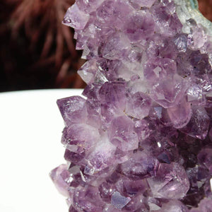 Close-up of Amethyst Drusen Stück showcasing natural purple crystals, highlighting its quality and beauty for online shop purchase.