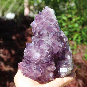 Amethyst Drusen Unikat Nr. 37 in Hand, 1A Qualität, 14x11cm, aus Uruguay. Hervorragende Wahl für Harmonie und Spiritualität.