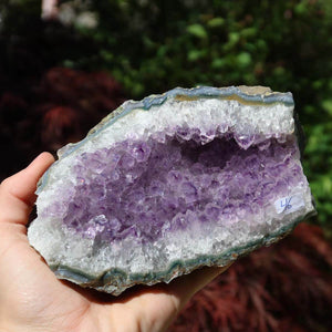 Exquisite 14x9cm Amethyst Drusen from Uruguay, unique quality for harmony, spirituality, and transformation. Available online.