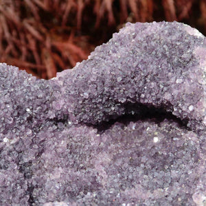 Close-up of a high-quality Amethyst Drusen from Uruguay with purple crystals, available to buy online for harmony and transformation.