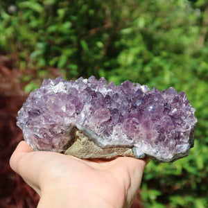 Hand holding a unique, high-quality Amethyst Druse from Uruguay, showcasing its natural beauty and spiritual transformative energy.