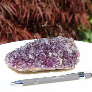 Amethyst Drusen Stück 1A Qualität 14x9cm, einzigartiges Uruguay Unikat Nr. 7, natürliche Schönheit und Schutz, mit Stift als Größenvergleich.
