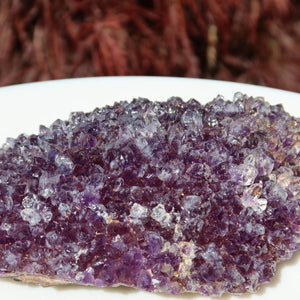 High-quality Amethyst Druse from Uruguay, featuring vibrant purple crystals, known for cleansing and protective energy. Unique piece.