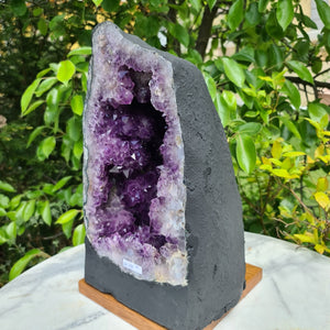 Amethyst Druse kaufen in Graz Nr. 219