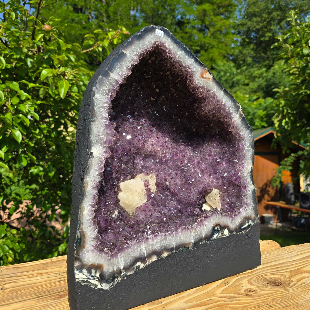 Amethyst Druse – Geode - 38x34x18cm und 23,6kg – Steinwelten OG - Nr. 153 displayed on wooden surface with leafy background.