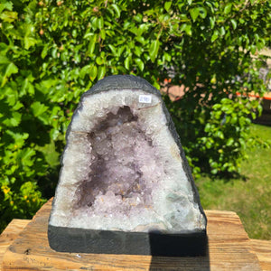 Amethyst Druse – Geode - 26x23cm und 8,9kg – Steinwelten OG - Nr. 290 with bright crystals in natural light