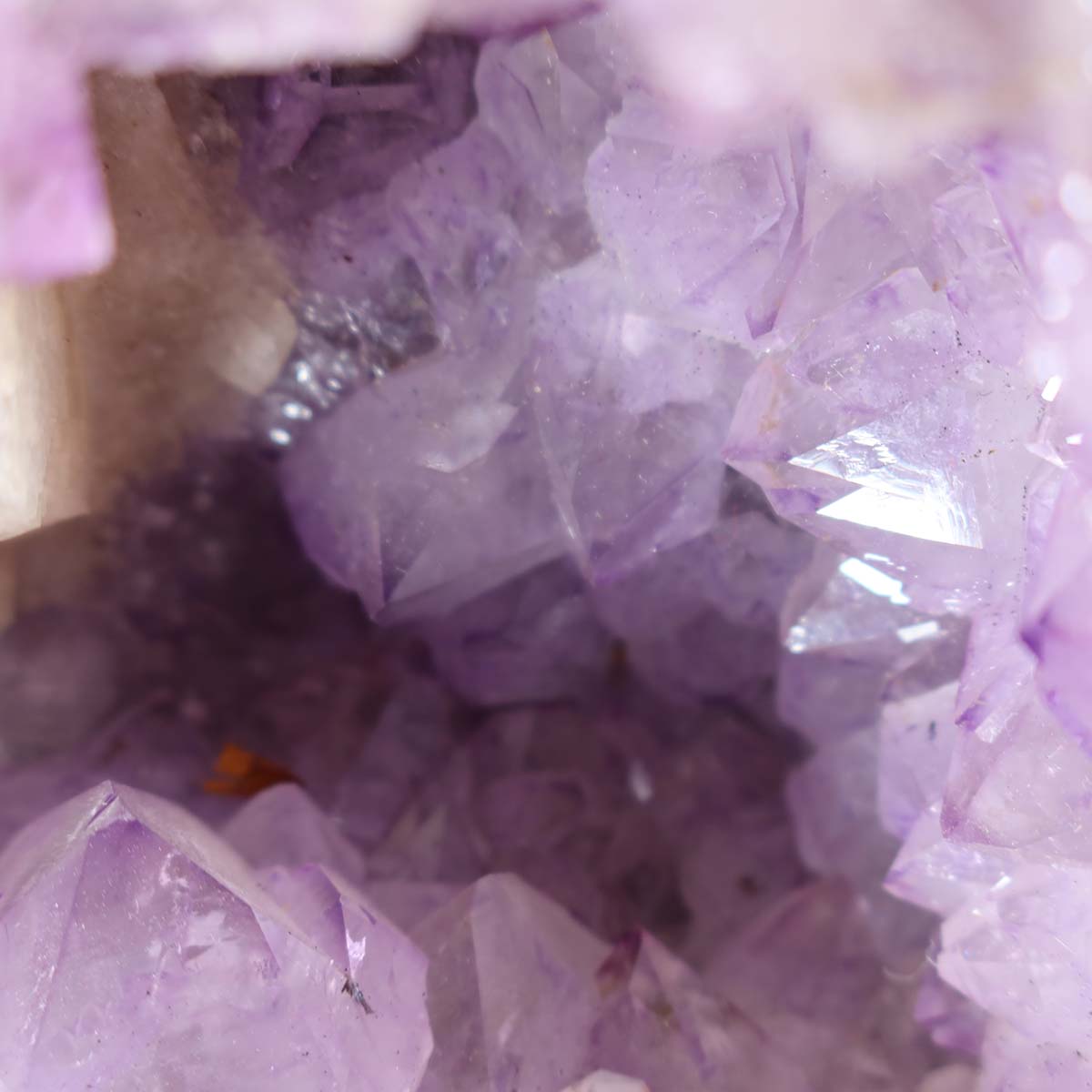 Amethyst Druse – Geode - 26x25cm und 15,4kg – Steinwelten OG - Nr. 302 aus Brasilien mit hellvioletten Kristallen