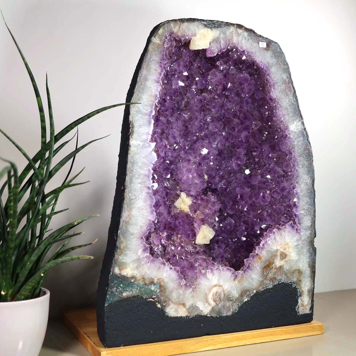 Amethyst Druse – Geode - 38x49x21cm und 41,8kg – Steinwelten OG - Nr. 451