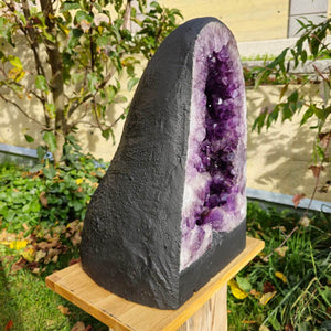 Violette Geoden kaufen 