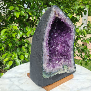 Amethyst Druse Nr.373