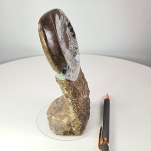 Ammonit - Versteinertes echtes Fossil mit Natursteinsockel, handgeschliffen und poliert Unikat-Nr.5 neben einem Stift